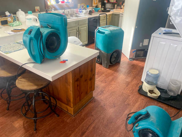 Local water damage restoration in Rollingwood, CA