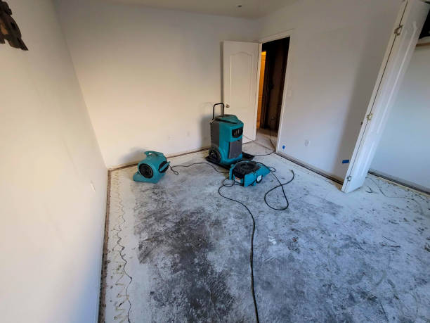 Best Basement water damage restoration  in Rollingwood, CA