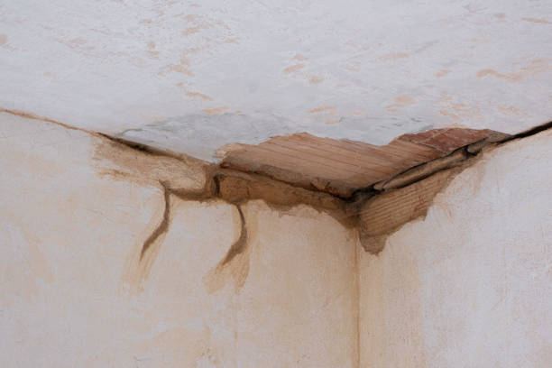 Trusted Rollingwood, CA Water damage restoration Experts