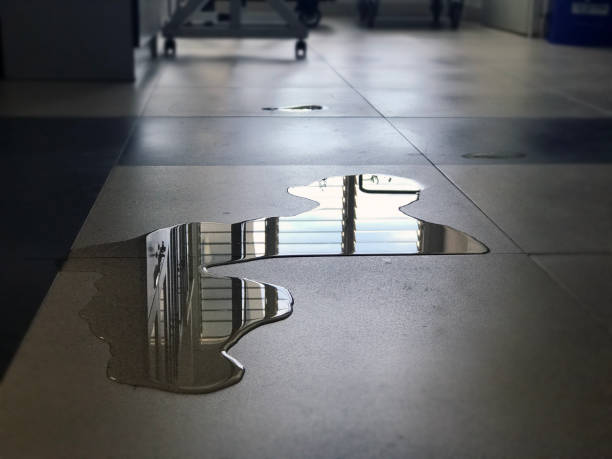 Best Water damage mitigation services  in Rollingwood, CA