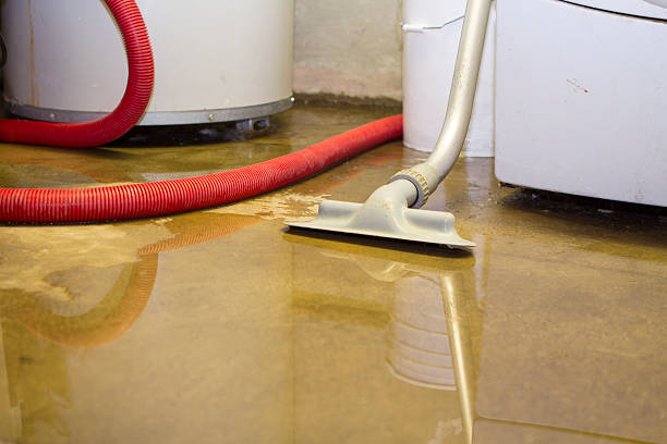 Best Residential water damage restoration  in Rollingwood, CA
